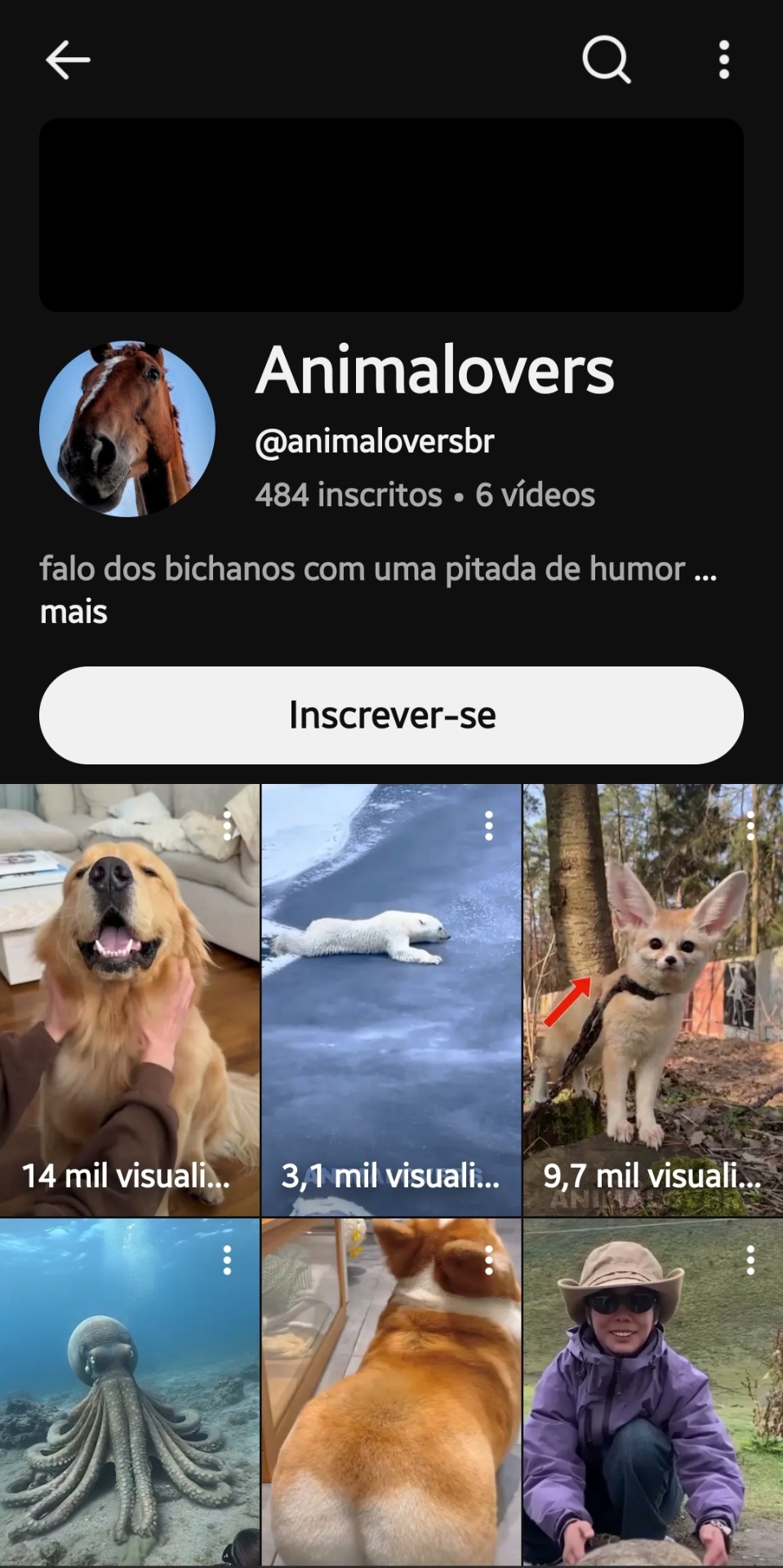 CANAL NO YOUTUBE